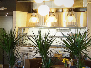 Commercial installations